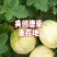 甜瓜
