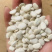 白凤豆白芸豆豆沙原料