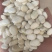 白凤豆白芸豆豆沙原料