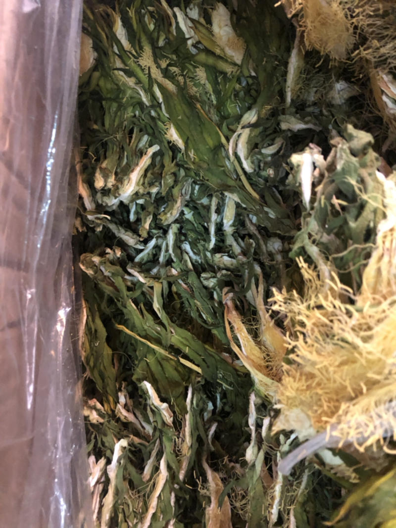 广东特产霸王花，产地直销，干度足，颜色青绿。