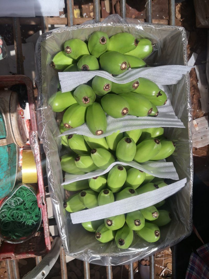 苹果蕉