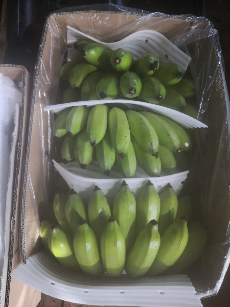 粉蕉