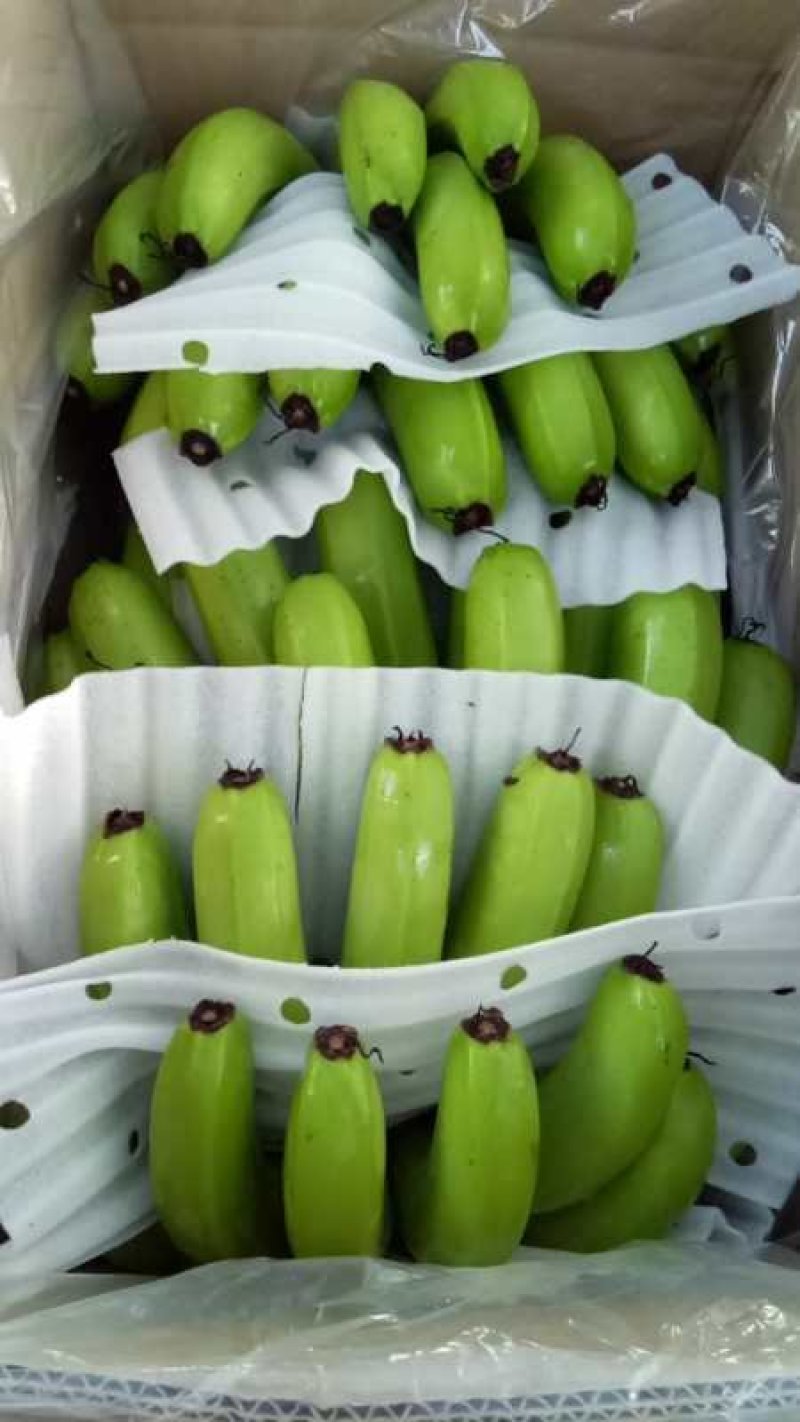 香蕉