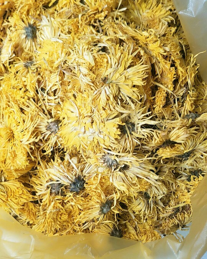 金丝皇菊，常年批发供应药食同源金丝菊花