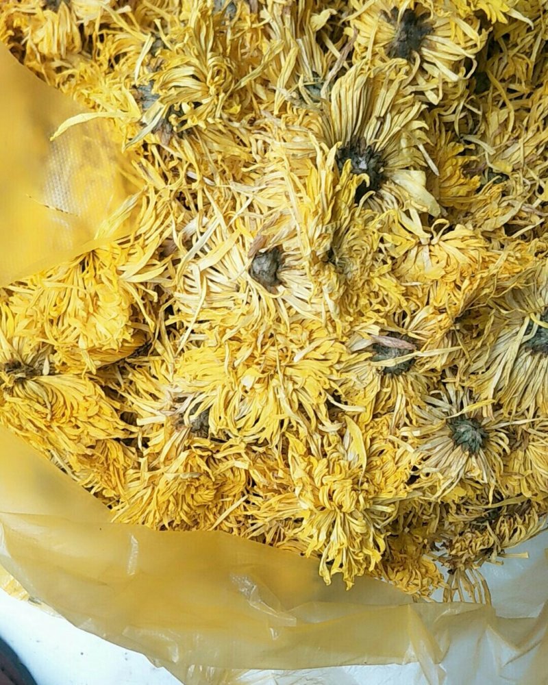 金丝皇菊，常年批发供应药食同源金丝菊花