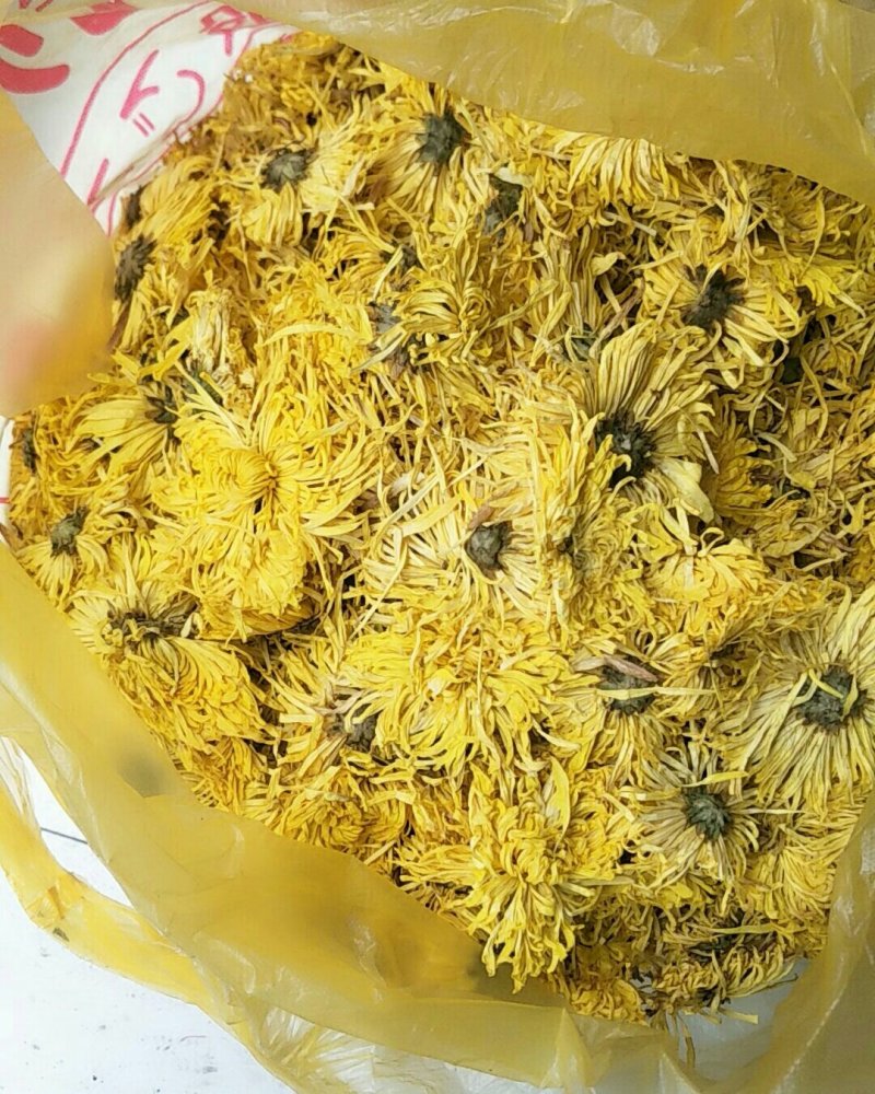 金丝皇菊，常年批发供应药食同源金丝菊花