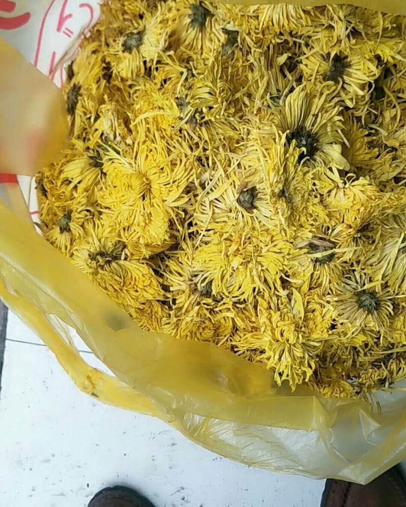 金丝皇菊，常年批发供应药食同源金丝菊花