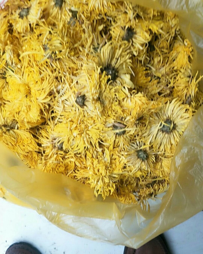 金丝皇菊，常年批发供应药食同源金丝菊花