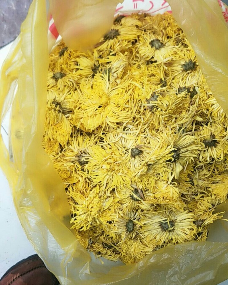 金丝皇菊，常年批发供应药食同源金丝菊花