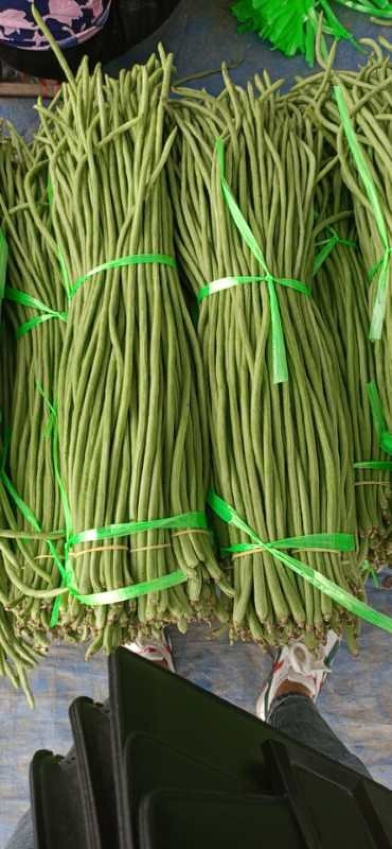 精品豆角！田间地头收货！一手货源实力代办！代发全国各地！