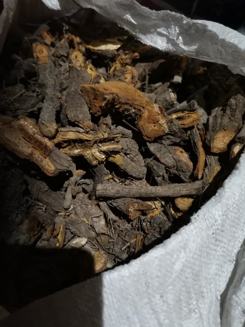 野生虎杖干货条段低价出售
