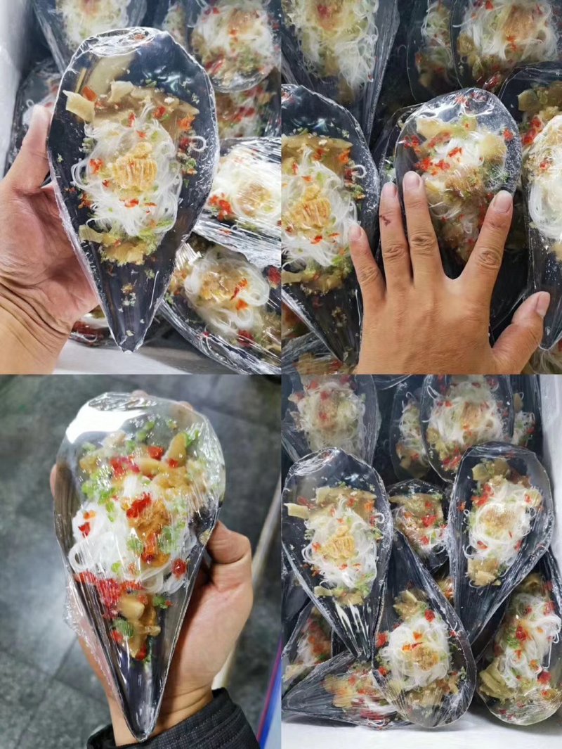 粉丝带子江瑶贝烧烤必备带子新鲜绿贝野半壳大绿贝瑶贝柱贝类
