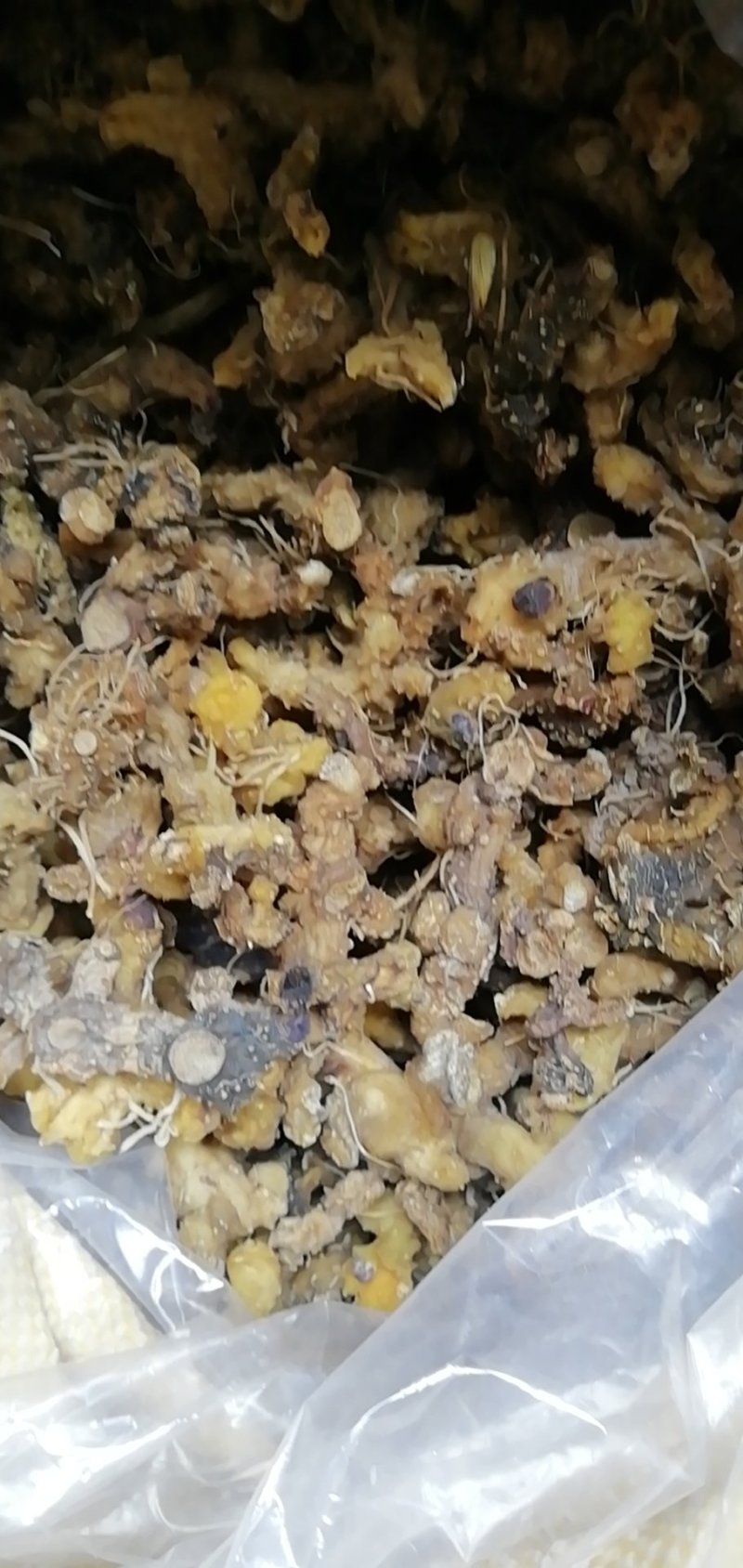 皖南野生黄精，甜统个，可视频看货，足干，无任何添加