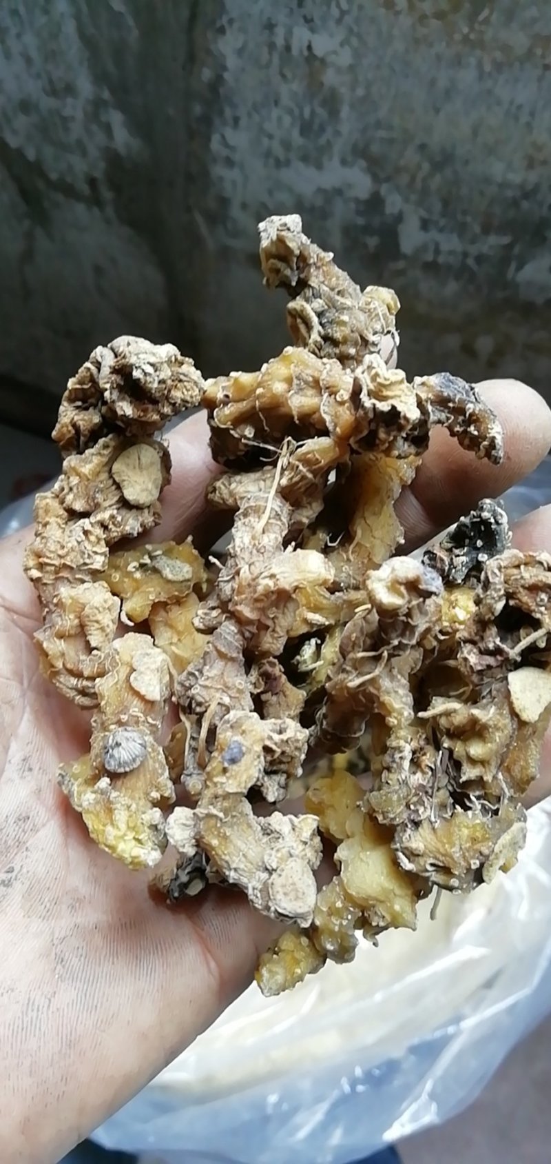 皖南野生黄精，甜统个，可视频看货，足干，无任何添加