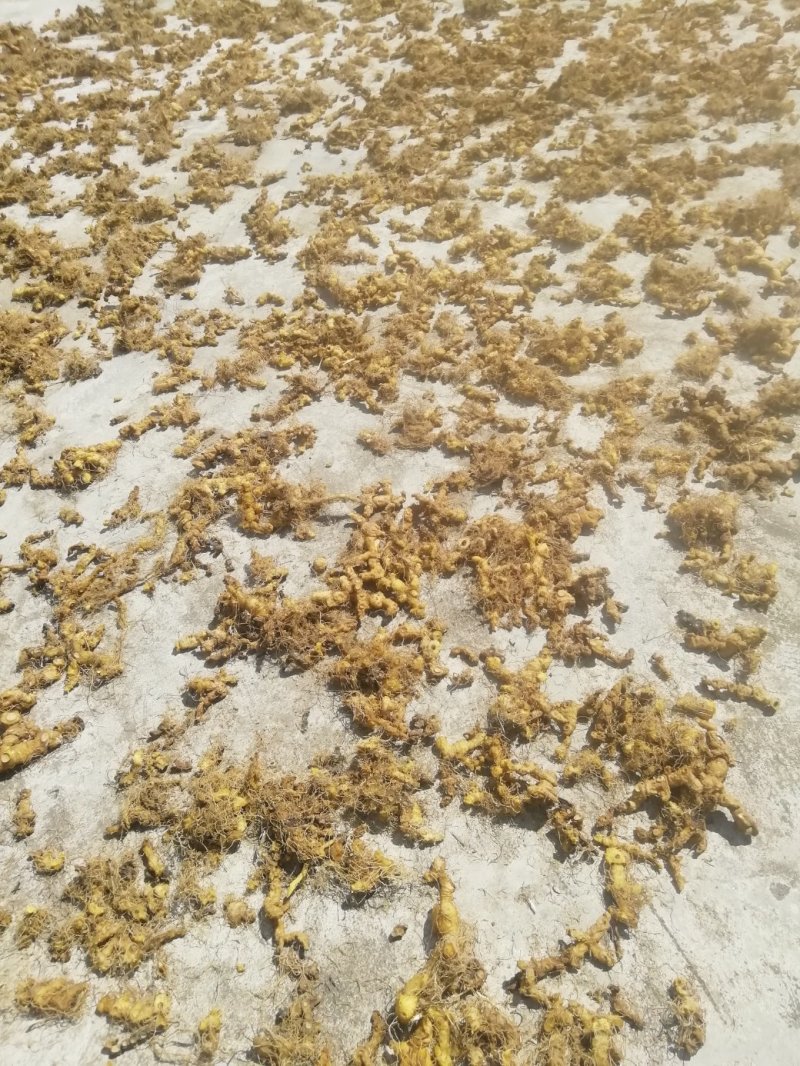 皖南野生黄精，甜统个，可视频看货，足干，无任何添加