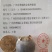 特色水果桃金娘棯子苗