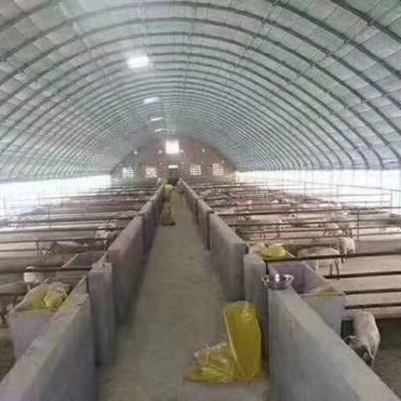 骨架钢架养殖保温棚