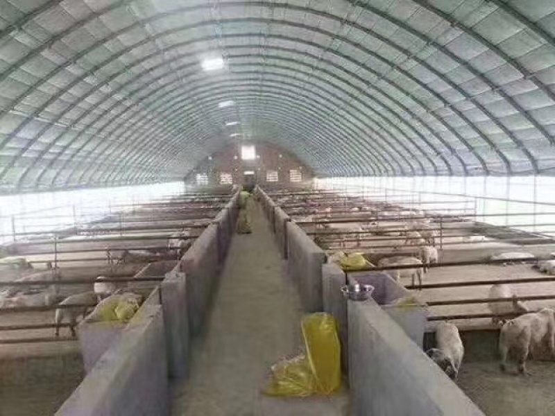 骨架钢架养殖保温棚