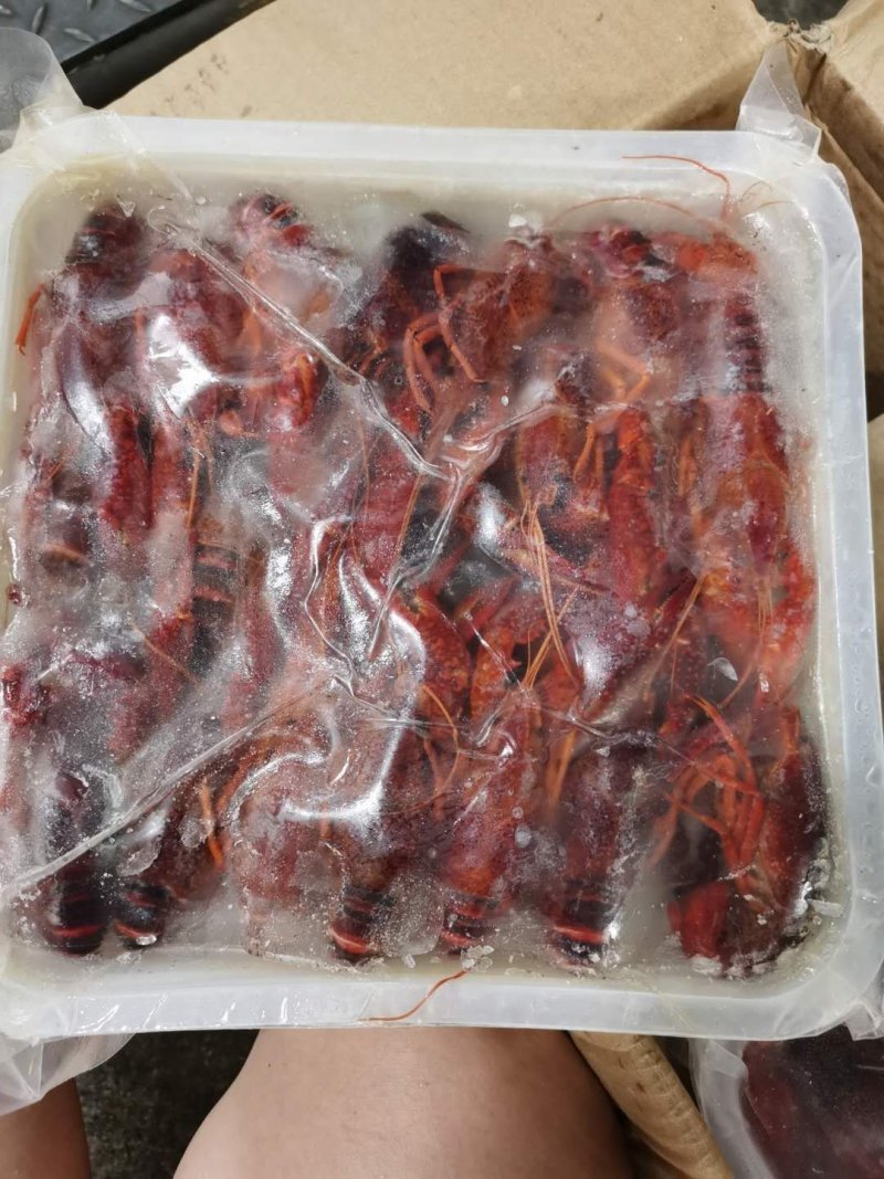 麻辣小龙虾