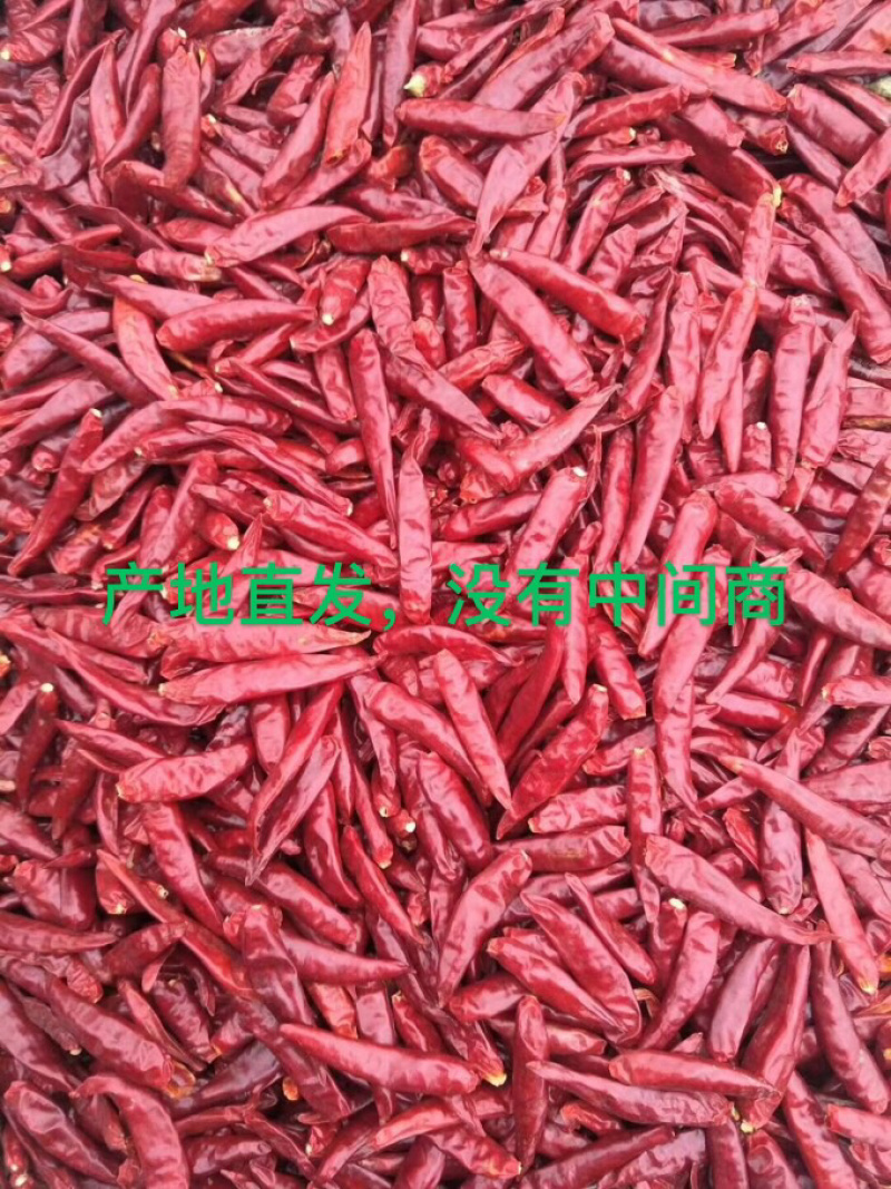 【推荐】精品干辣椒产地直发，全国包邮，免费加工辣椒段
