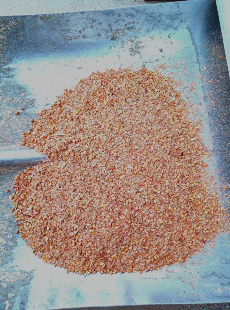 高粱糠牛羊好饲料货源充足可视频看货无霉变