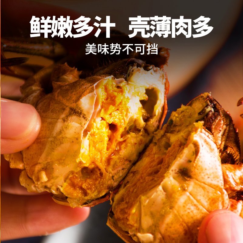 江苏兴化大闸蟹河蟹现货精品螃蟹硬38规格电商团购一件代发