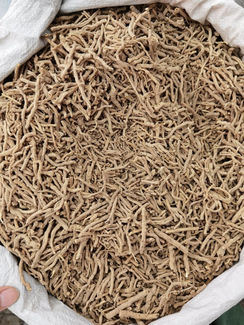 远志远志筒远志正品无硫质量保证规格齐大货批发量大从优