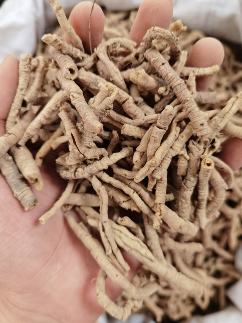 远志远志筒远志正品无硫质量保证规格齐大货批发量大从优