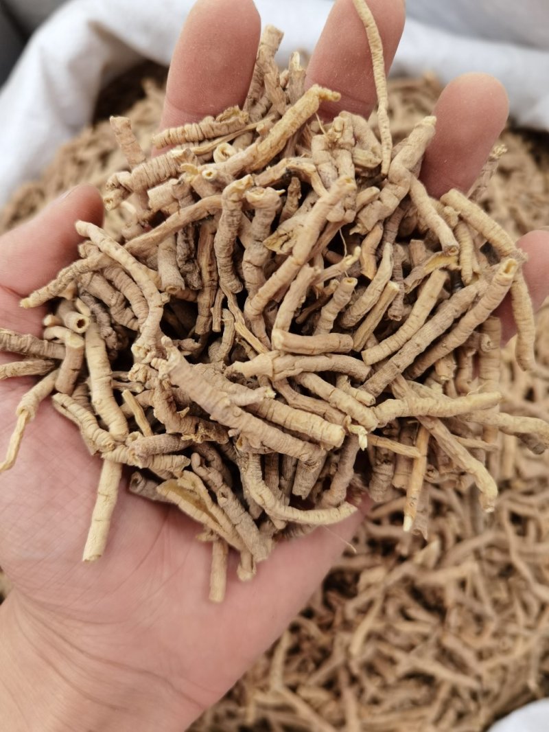 远志远志筒远志正品无硫质量保证规格齐大货批发量大从优