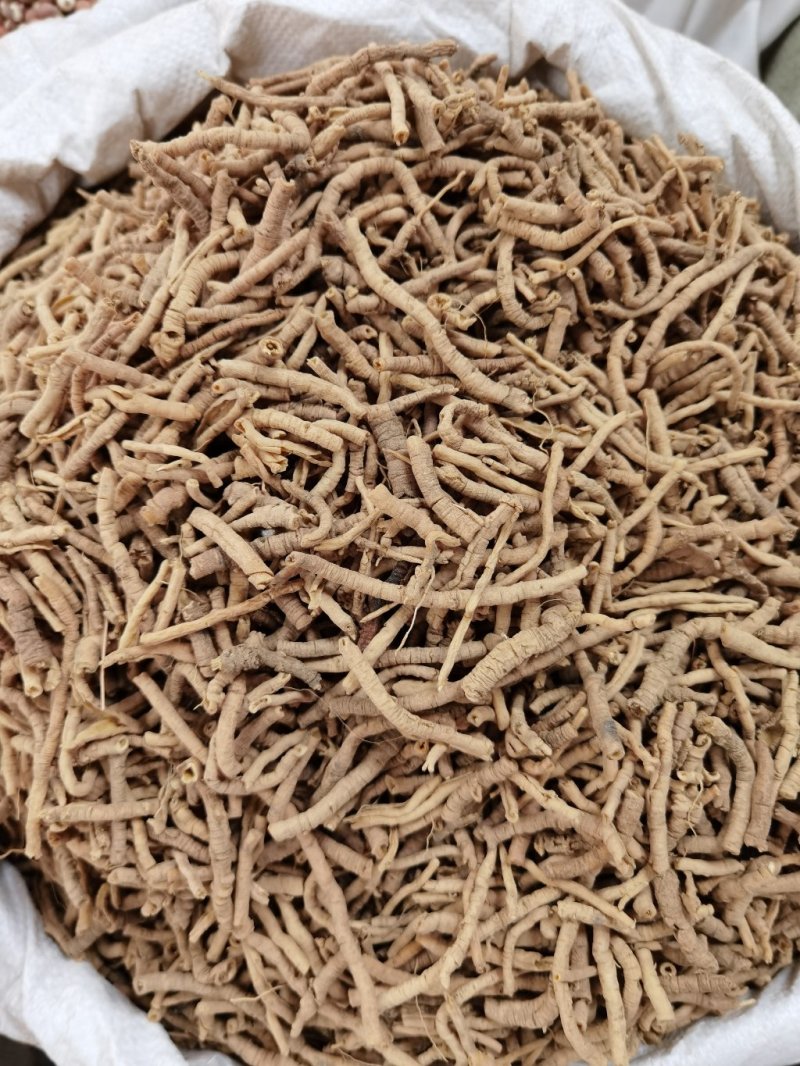 远志远志筒远志正品无硫质量保证规格齐大货批发量大从优