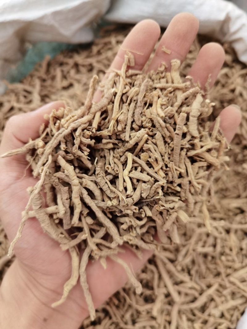 远志远志筒远志正品无硫质量保证规格齐大货批发量大从优