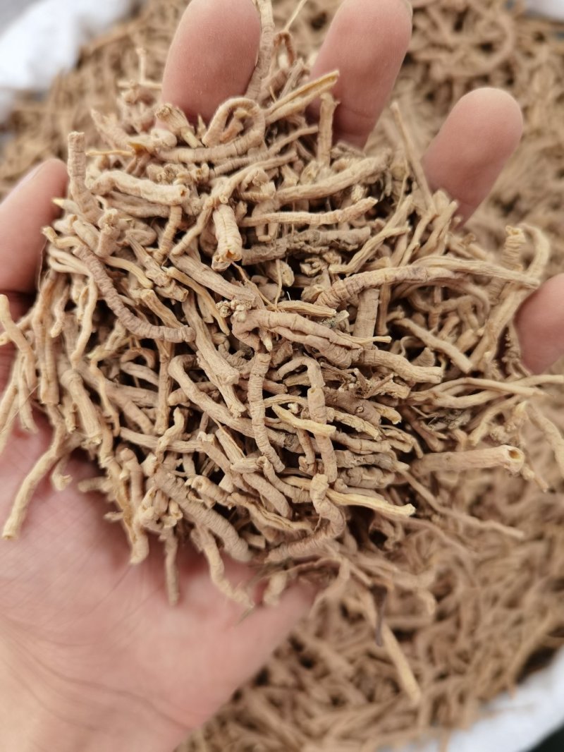 远志远志筒远志正品无硫质量保证规格齐大货批发量大从优