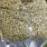 四路碎核桃仁～仁白无杂质！香脆可口！餐饮行业食品加工使用