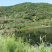 300亩山地转让或合作，证件齐全