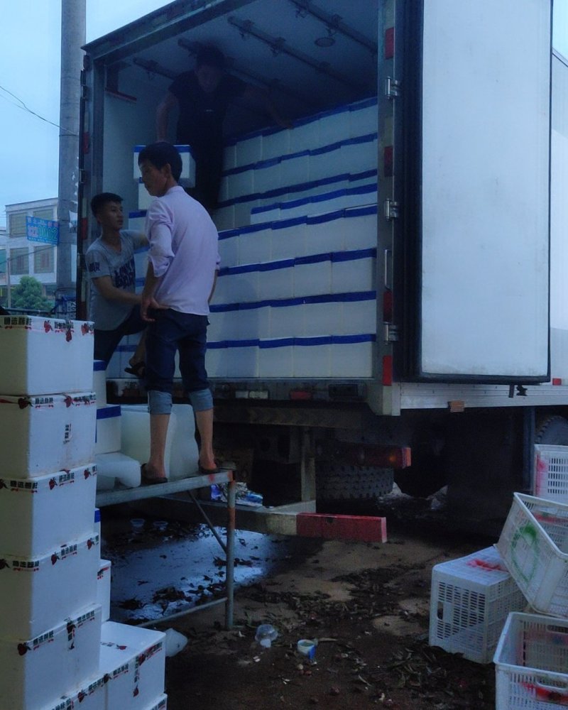 黑叶荔枝，丁香，桂林，玉荷包，贵味，专业代办场地直发