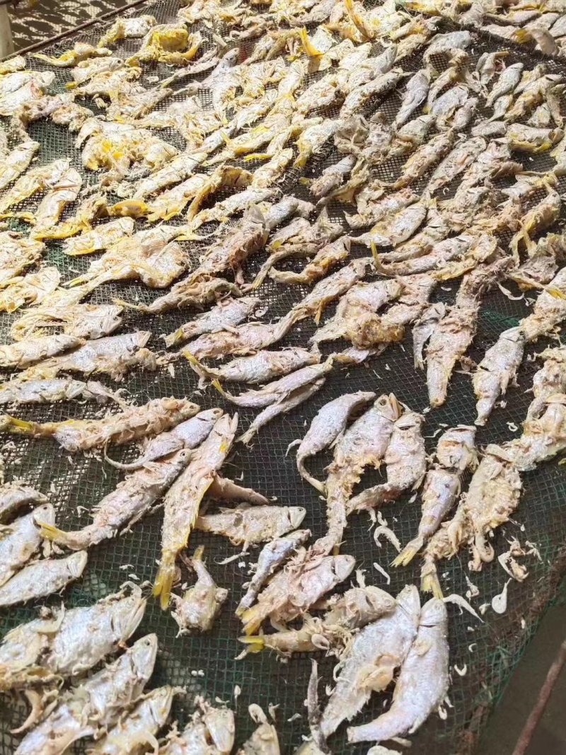 虾皮里里的马口鱼特别好吃