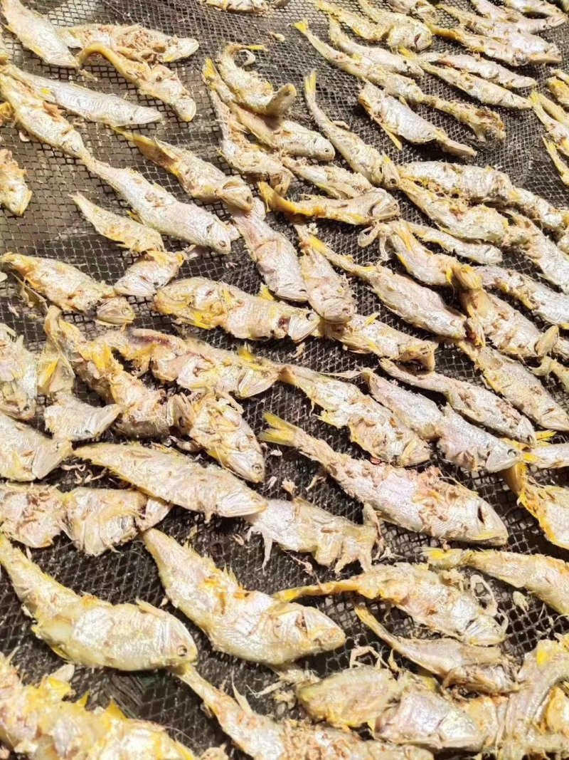 虾皮里里的马口鱼特别好吃