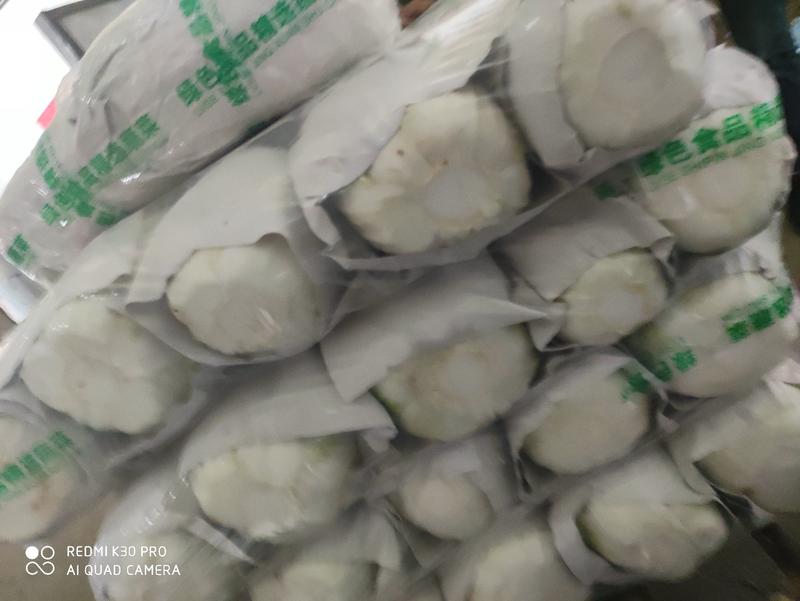 【白菜】黄心大白菜净菜3-5斤一手货源发往各大市场