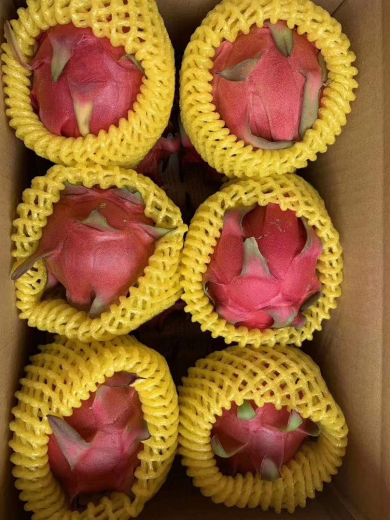 红心火龙果云南一手好货源，万亩产地、货源充足，可长期供应