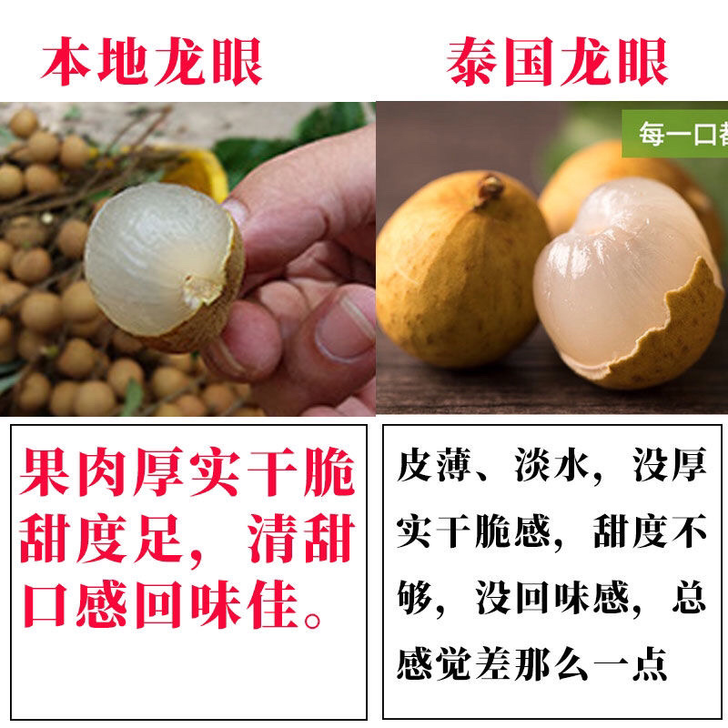 海南龙眼石峡储粮新鲜水果现摘现发非泰国龙眼