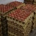 富平自家蛋鸡养殖厂直供无中间商新鲜健康绿食品（