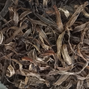 昌玉药材地龙产地直销质量保证