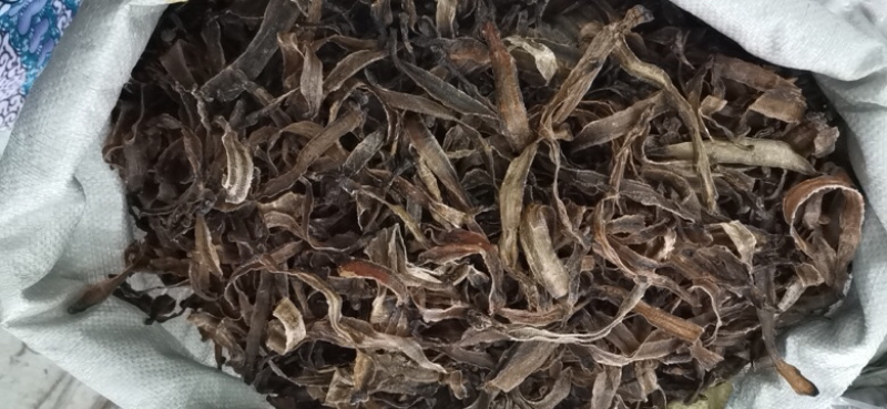 昌玉药材地龙产地直销质量保证
