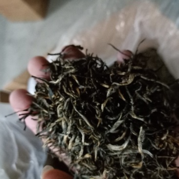 金骏眉花香果香梅占