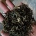 金骏眉花香果香梅占