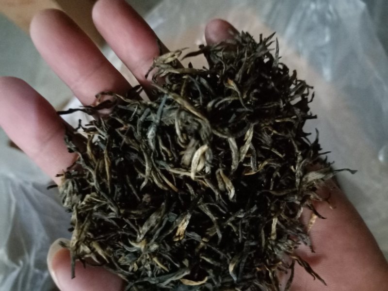 金骏眉花香果香梅占