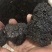 昌玉药材批发供应血余炭正品质量保证