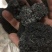 昌玉药材批发供应血余炭正品质量保证