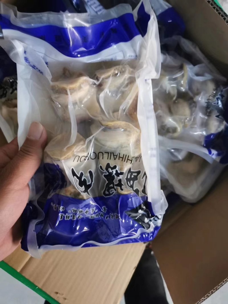 海螺肉熟冻托盘装五头六头都有货，还有切片