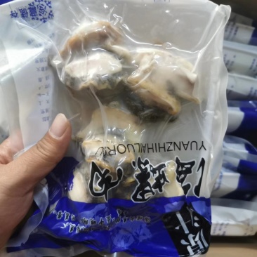 海螺肉熟冻托盘装五头六头都有货，还有切片